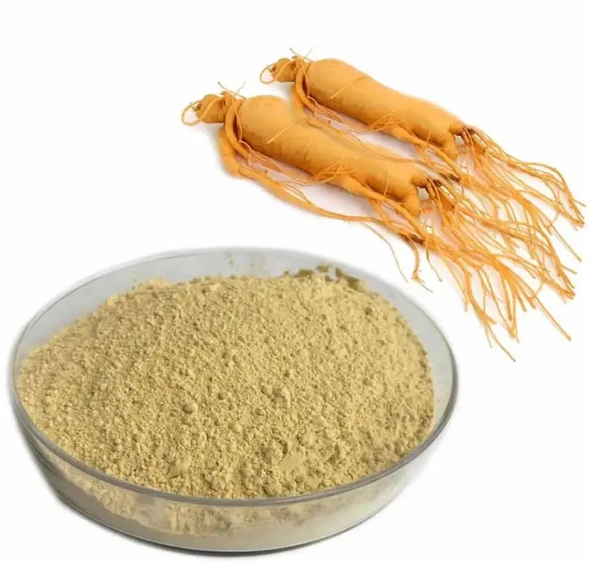 Pure Panax Ginseng Powder for Enhanced Vitality and Stamina Boost Available at Wholesale Prices