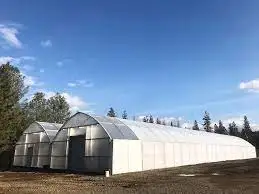 New Style Smart Aquaponics Greenhouse Complete Growing Systems For Multi-span Greenhouse