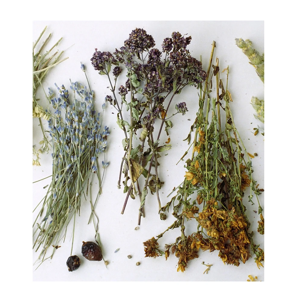 VARIOUS HERBAL EXRACTS 100% organic natural product CO2 water-soluble extracts of plants and herbs for food