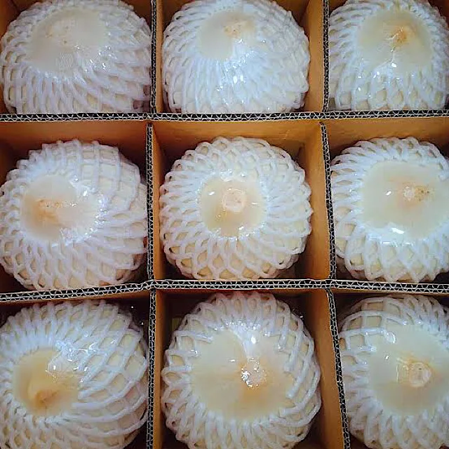 Top Selling  Fresh Coconuts From Thailand