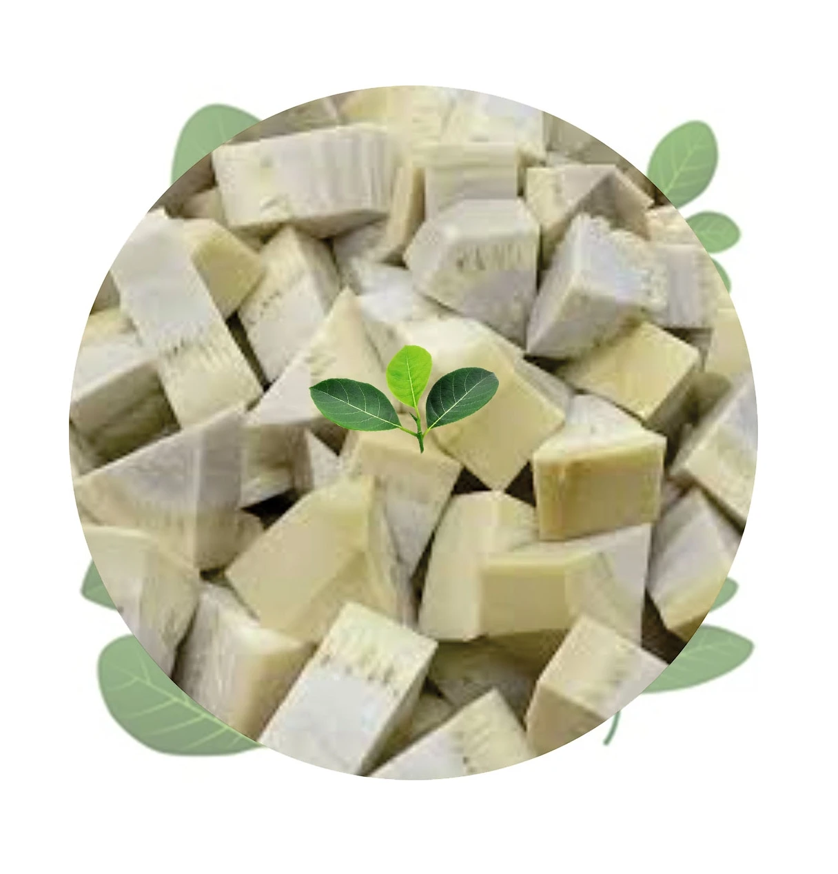 Vietnam Tropical fruit 2022 Fresh Jackfruit Fresh Green Jackfruit Nature tasste Processed Jackfruit Premium Grade