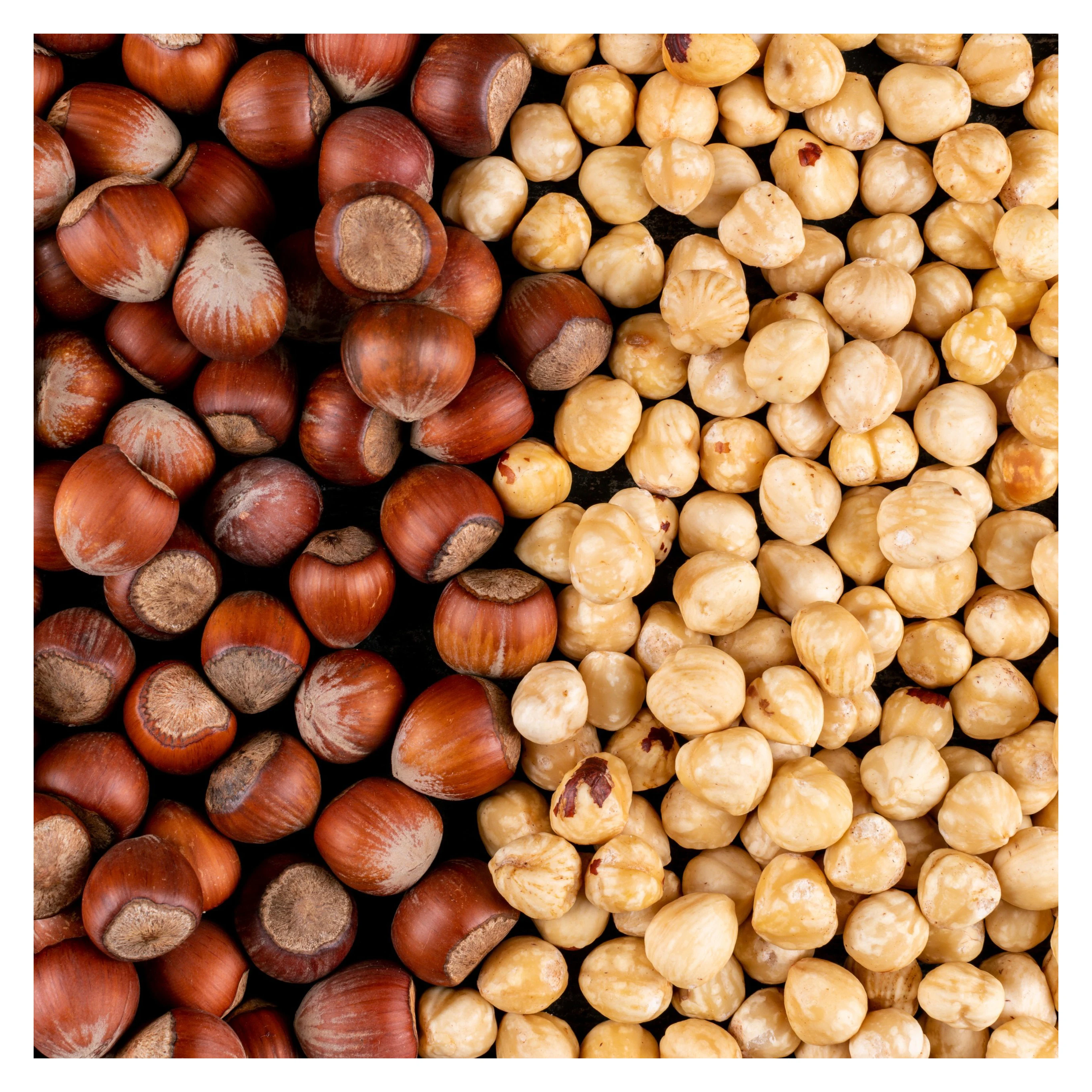 Organic Hazelnuts/Hazel Nuts Hotly-Sold Raw Roasted Blanched Hazelnuts for Food Use Organic Cultivation at Competitive Prices