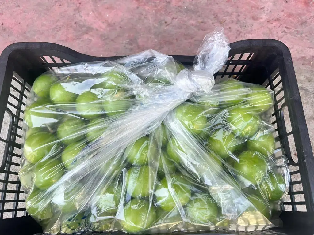 Wholesale Turkey Origin Fresh and Delicious Green Plums Agrowell TurkishGoods