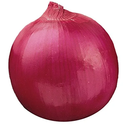 Fresh Red Onions Cheap Price Fresh Onion Wholesale Onion from Pakistan High Quality Natural Round Clean Pakistani 5 Ton 6 Cm