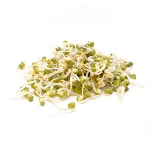 Wholesale Natural Organic High Quality Green Mung Beans For Sprouting Green Vigna Beans Green Gram Beans