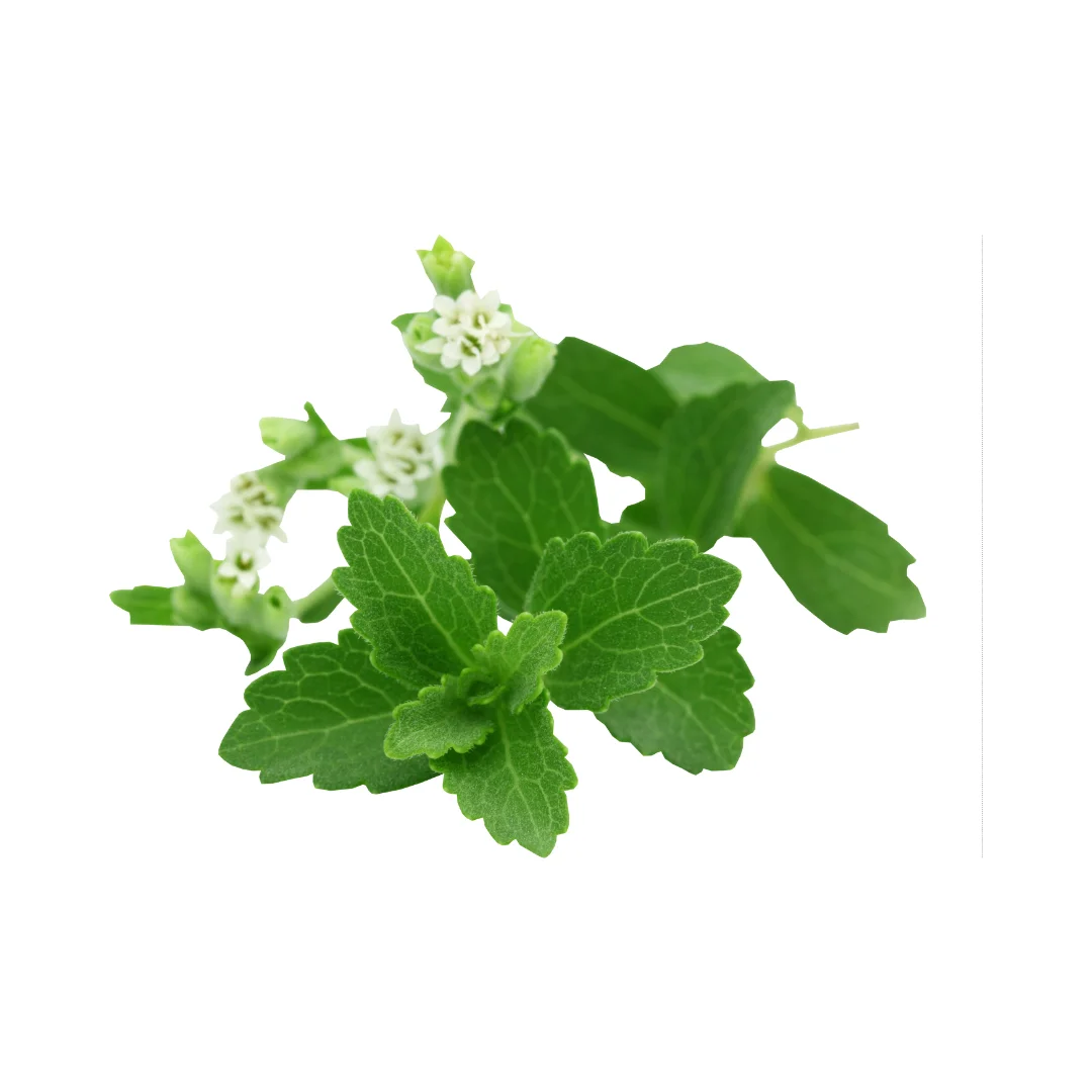 Premium Organic Stevia Leaves: Natural Sweetener for Health-Conscious Cooking and Baking
