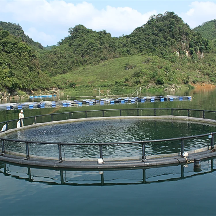 Hdpe Fish Cage Cheap Price Durable Aquatic Research Center Floating Round Cage Custom Designs Vietnam Manufacturer
