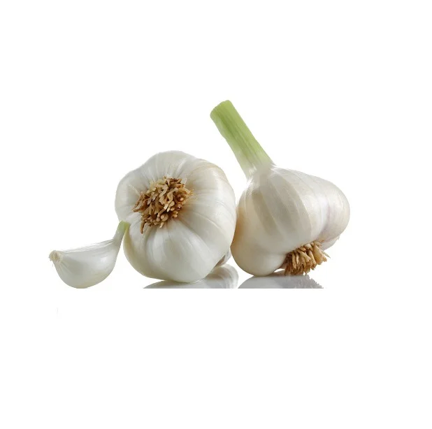 Cheapest Price Supplier Bulk Natural Fresh Pure White Garlic / Organic Garlic With Fast Delivery