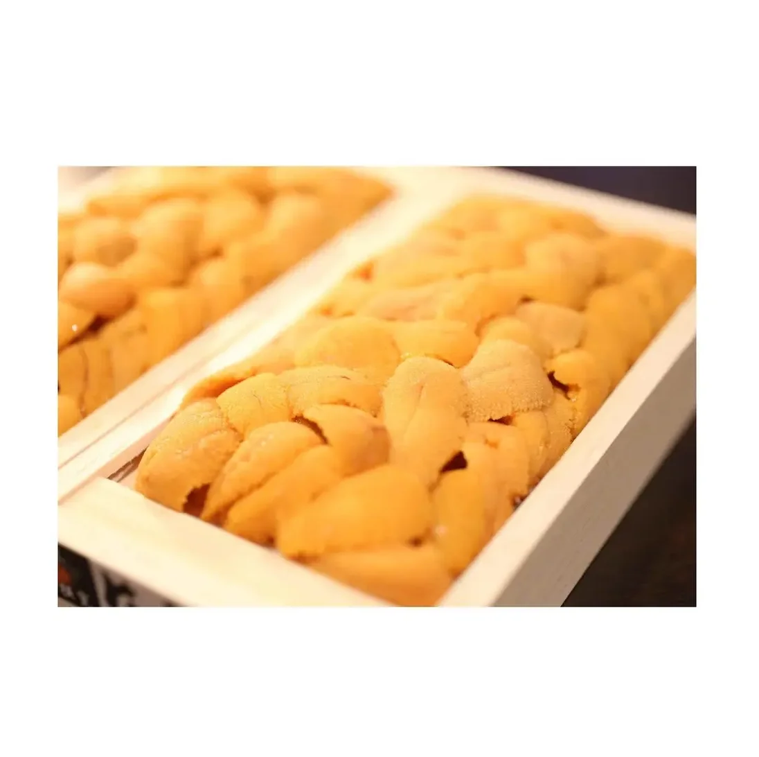 frozen sea urchin / fresh sea urchin / dried sea urchin for sale