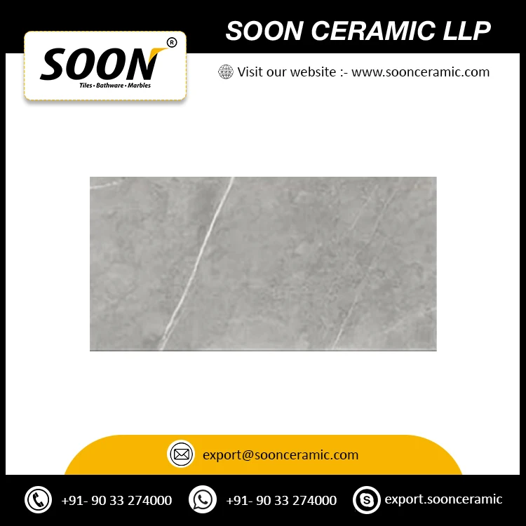 Direct Factory Supply 300x600mm Porcelain Tiles for Indoor and Outdoor Wall Decoration Amaze Lux Wall Tiles