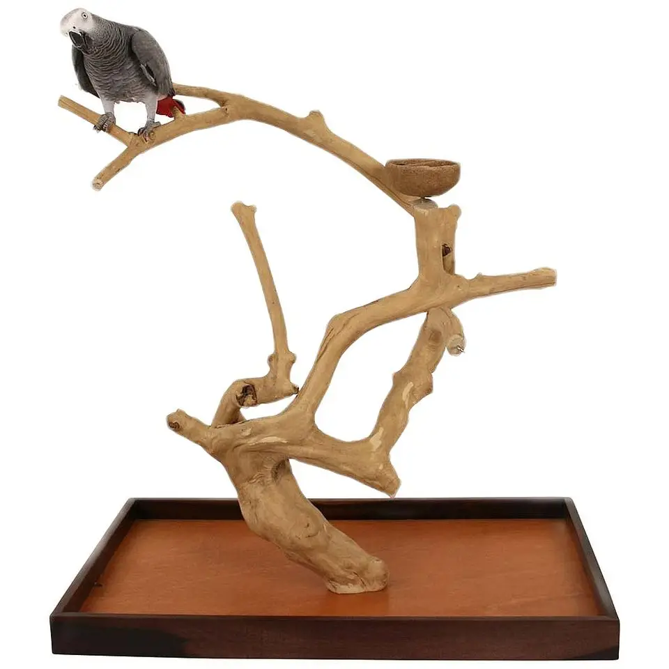 Java wood Coffee wood parrot bird perch tree Parrot Playstand Bird Toys for Parrot Raw Wood Fork Tree Branch Kimy +84938616690