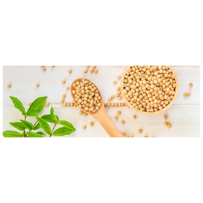 Высокое качество Non GMO желтые соевые бобы-соевые бобы/соевые бобы (8 0 мм)