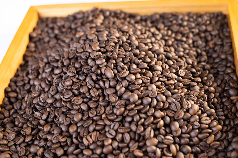 Wholesale Robusta Roasted Bean from Vietnam Coffee Bean Manufacturer Factory Price Premium Grade 16-18 60 Kg COMMON Cultivation