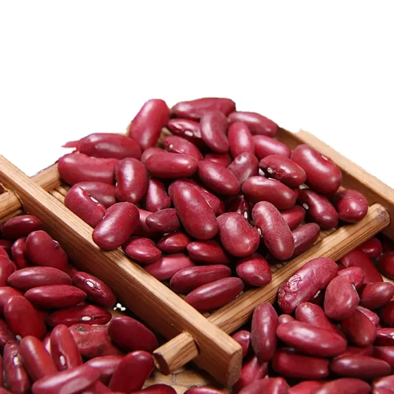 All Size Red and White Kidney   Beans