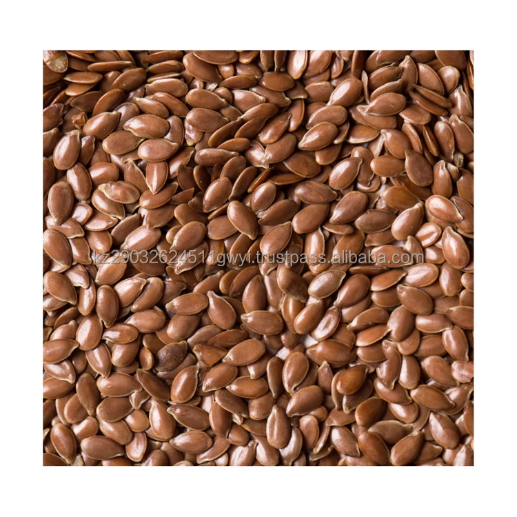 Popular multi-purpose Oil flax seeds enriched grains best product 2022 wholesale