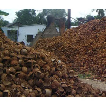 100% RAW COCONUT SHELLS BEST PRICE FOR MAKING CHARCOAL / BUY BULK CHEAP COCONUT SHELL FOR BBQ