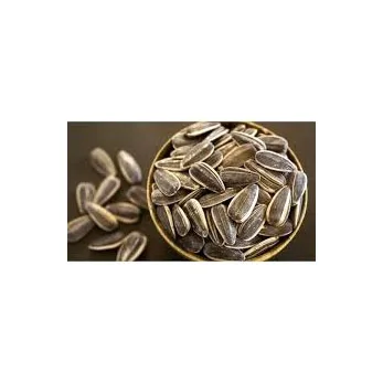 Seeds Ready for Export Factory Direct Sales Healthy Pure Natural Vegetable Nuts Newest Crop Organic Bulk Sunflower
