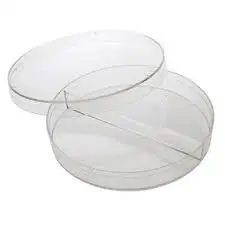 Disposable Medical PS Petri Dish With Grid Quality Assured Plastic Tissue Culture Petri Dish Supplier From India