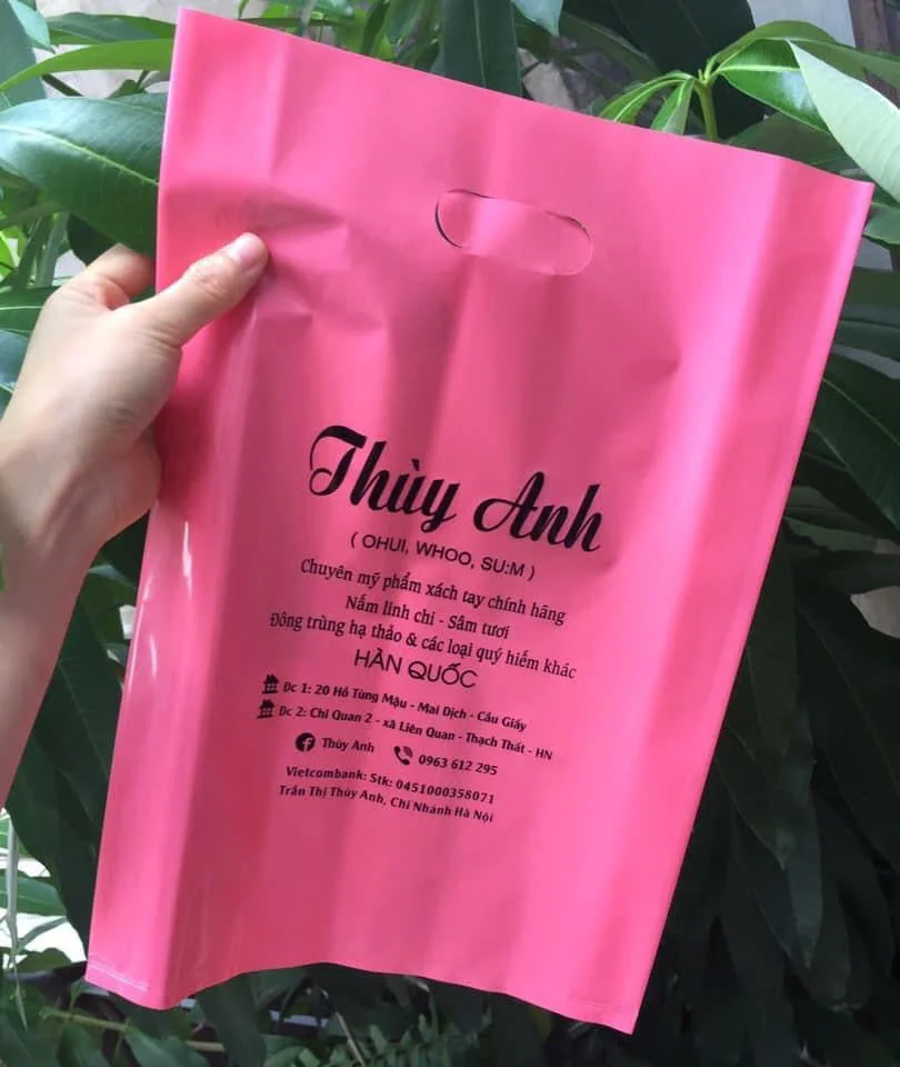 Most Popular Personalised PE Plastic Shopping Bags Trusted by Customers in Vietnam