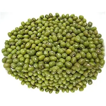 QUALITY MUNG BEANS for EXPORT
