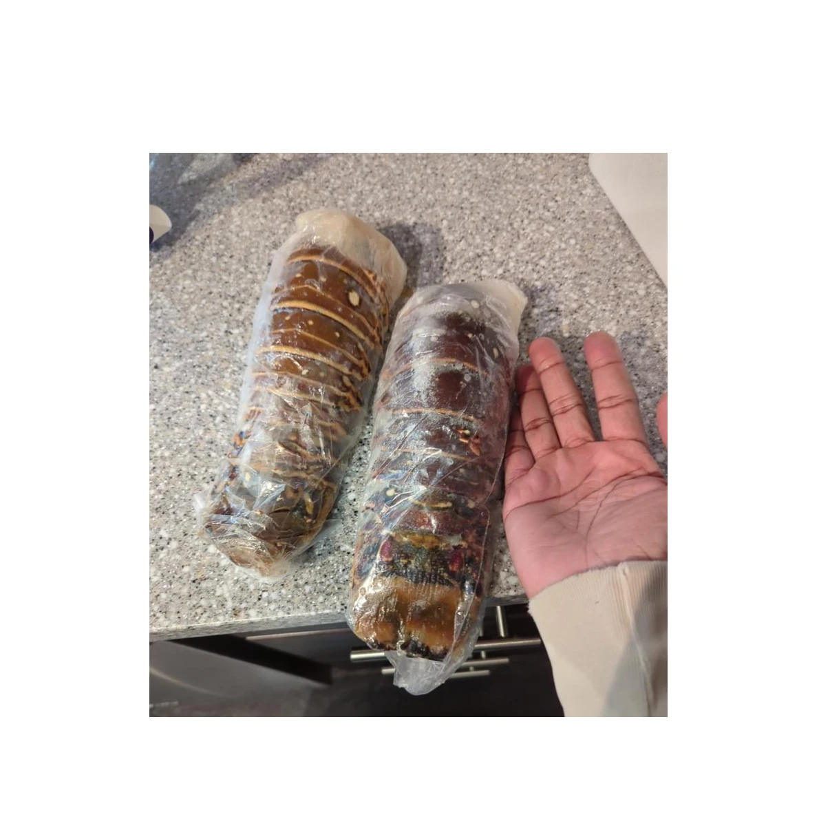 Seafood Fresh and Frozen Lobster Lobster Tails For Sale..