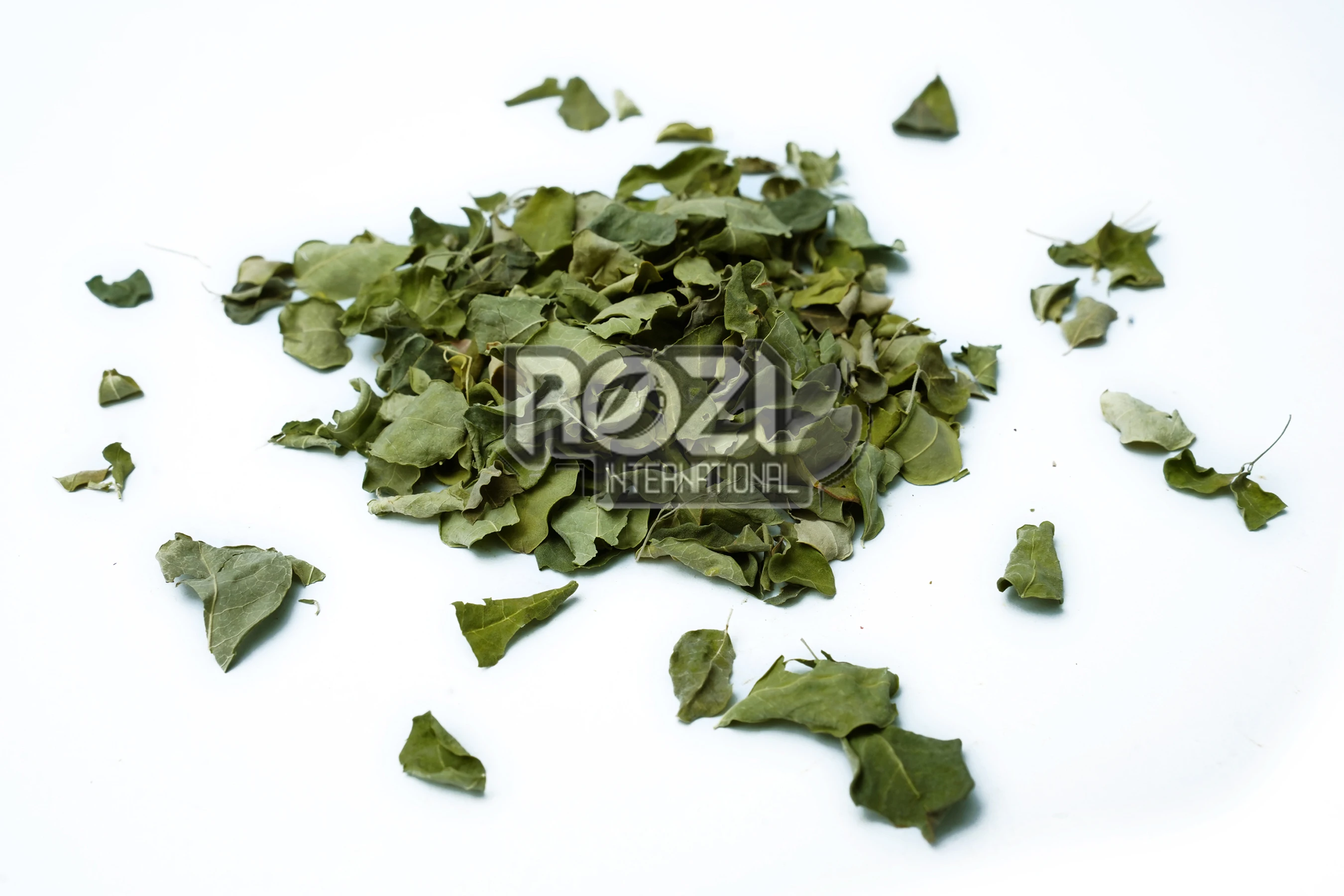 Moringa Leaves / Moringa Oleifera /  Sohanjna Patta