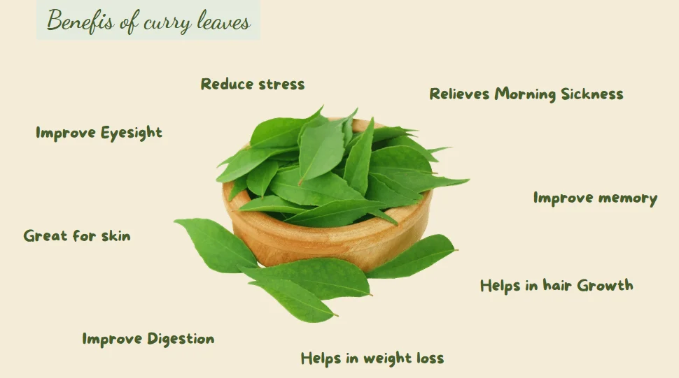 Dry Curry Cholesterol Lowering Ayurvedic Herb Fresh 100% Pure Organic Natural Greens