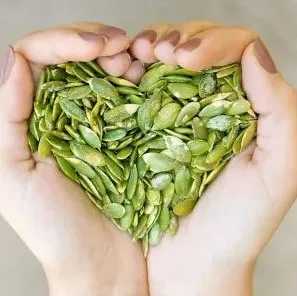 High Quality Wholesale low priced Health Food Cucurbita Pepo Semen Herbal Extract Water Soluble Pumpkin Seed Extract from India