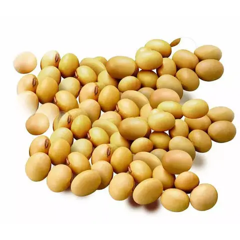 Soya beans Fresh Stock Wholesale Price High Quality
