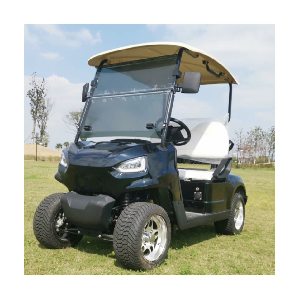 Factory Wholesale Street Legal Golf Car 2 Seater Luxury Electric Golf Carts Price