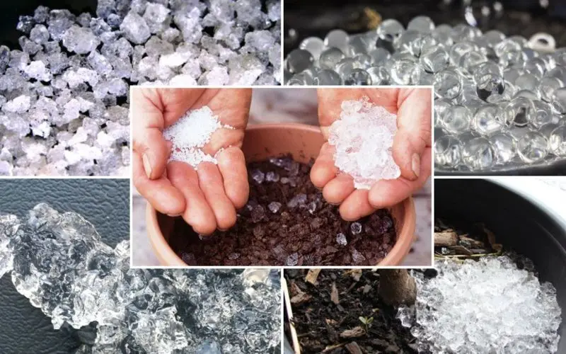 Biodegradable Super Absorbent Polymer Agricultural Sap