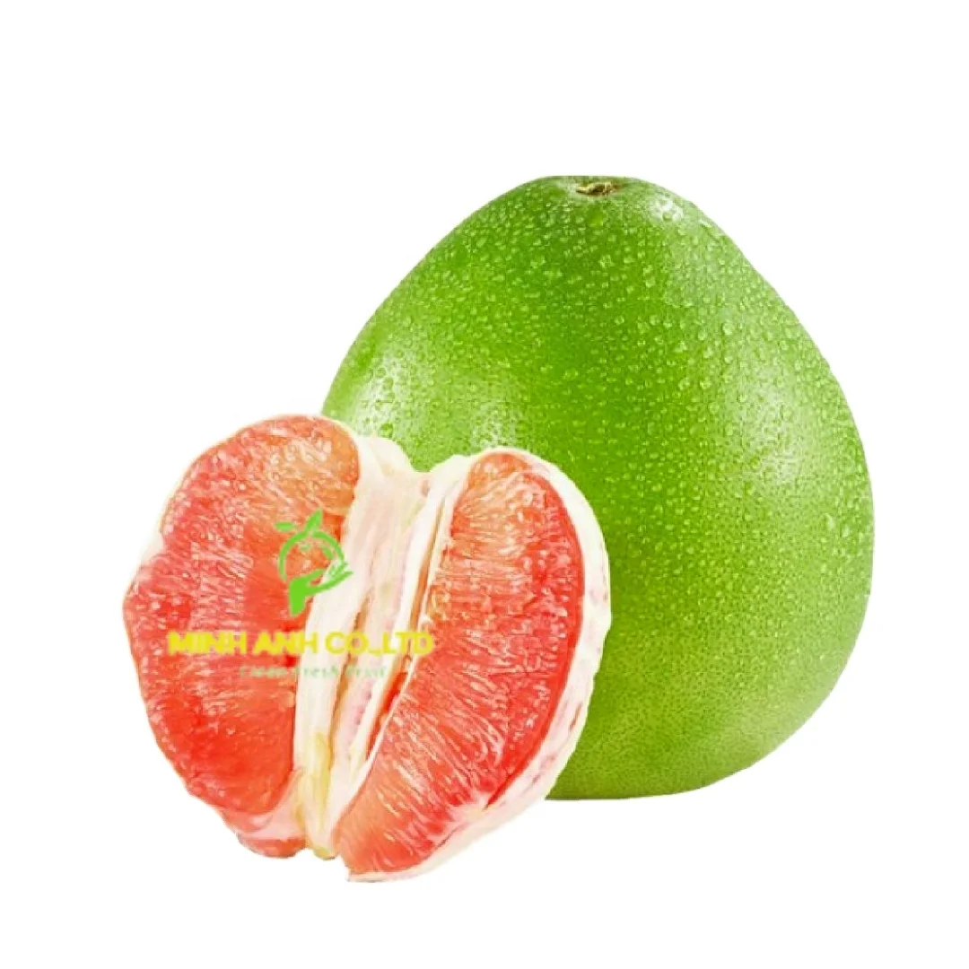 Fresh Green Grapes Turkey Key Sweet Crop Style Storage Cool Packing Mature Newest Color Origin Super Type Comfort Variety Size