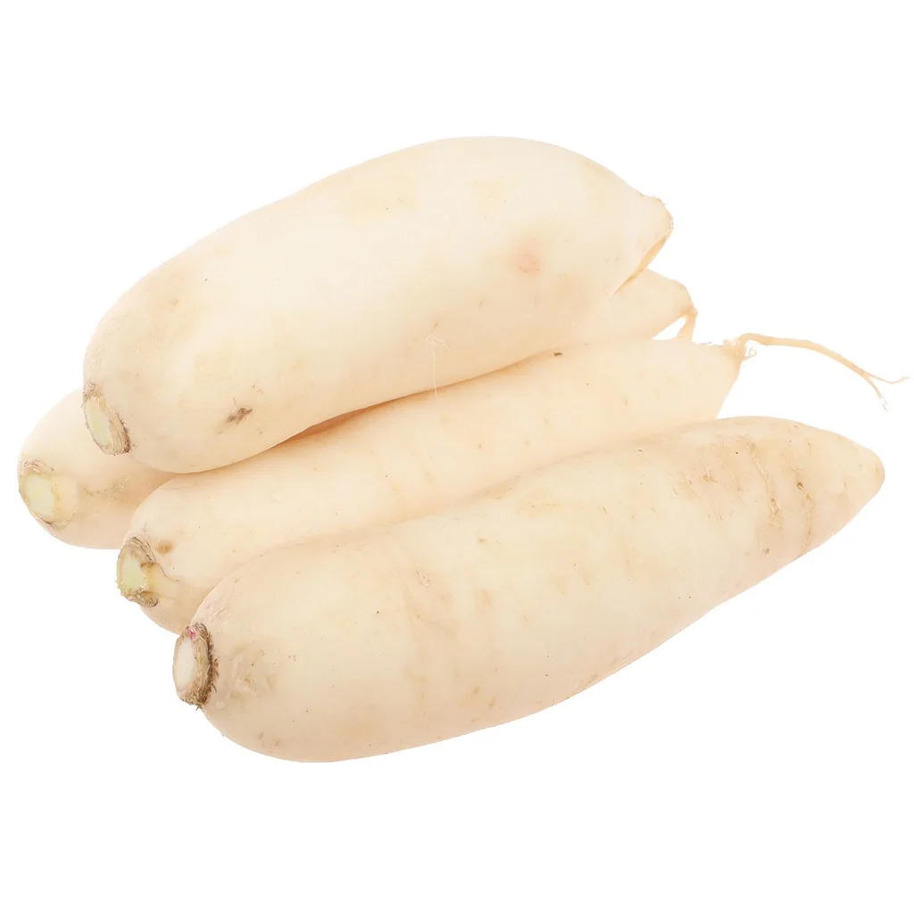 High Quality Fresh Frozen White Radish Vietnamese Wholesaler Ready Export To World New Season Fresh White Radish
