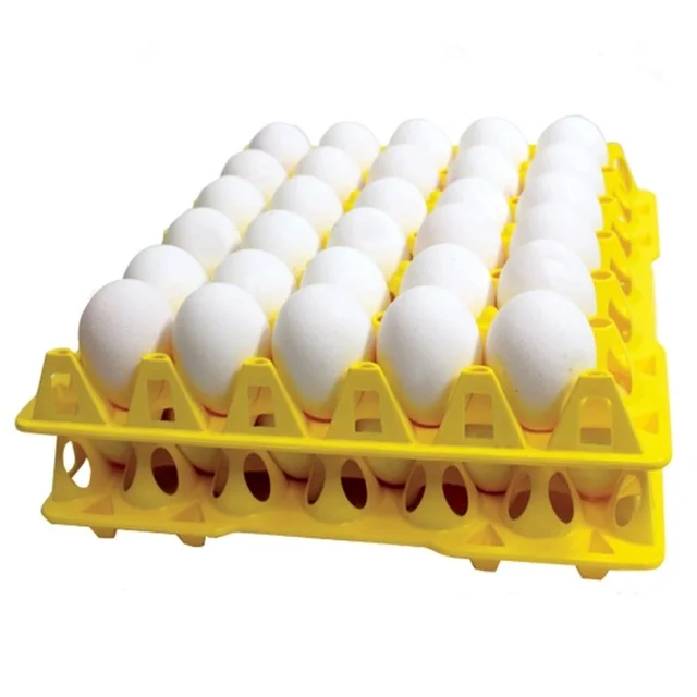 Wholesale Price Supplier Of White Fresh Table Eggs | Chicken Eggs