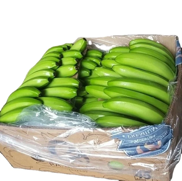 CAVENDISH BANANA SUPPLIER PHILIPPINES