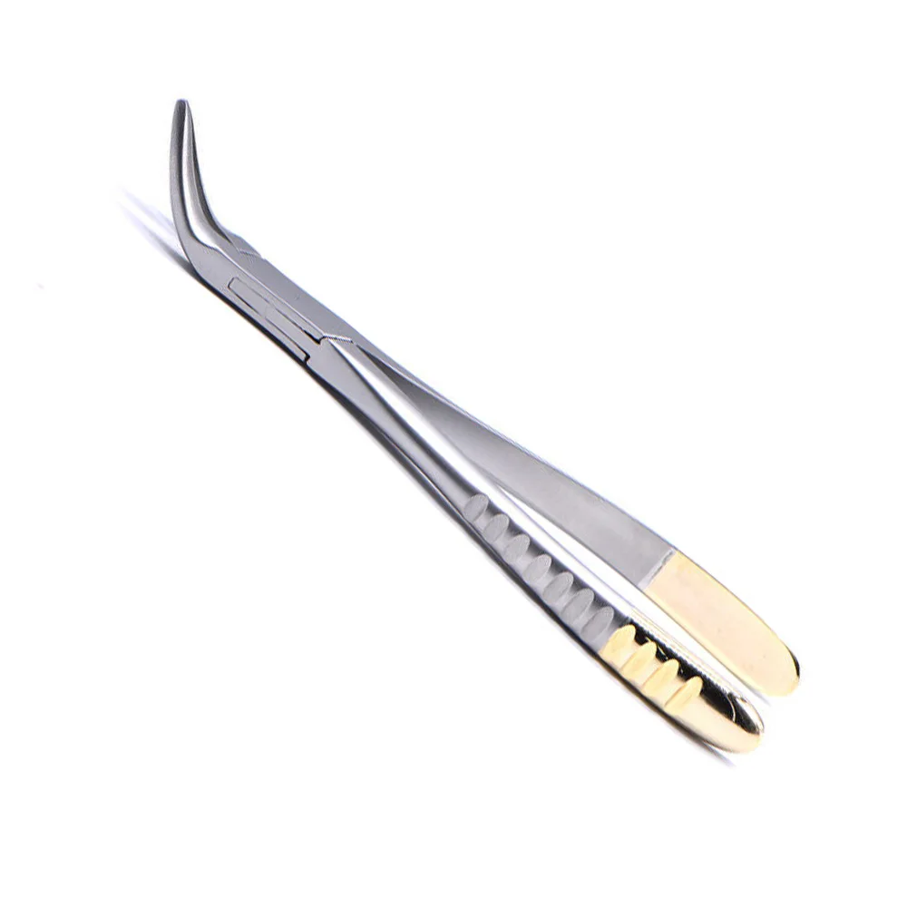 Premium Stainless Steel Dental Extraction Forceps for Effective Tooth Extraction