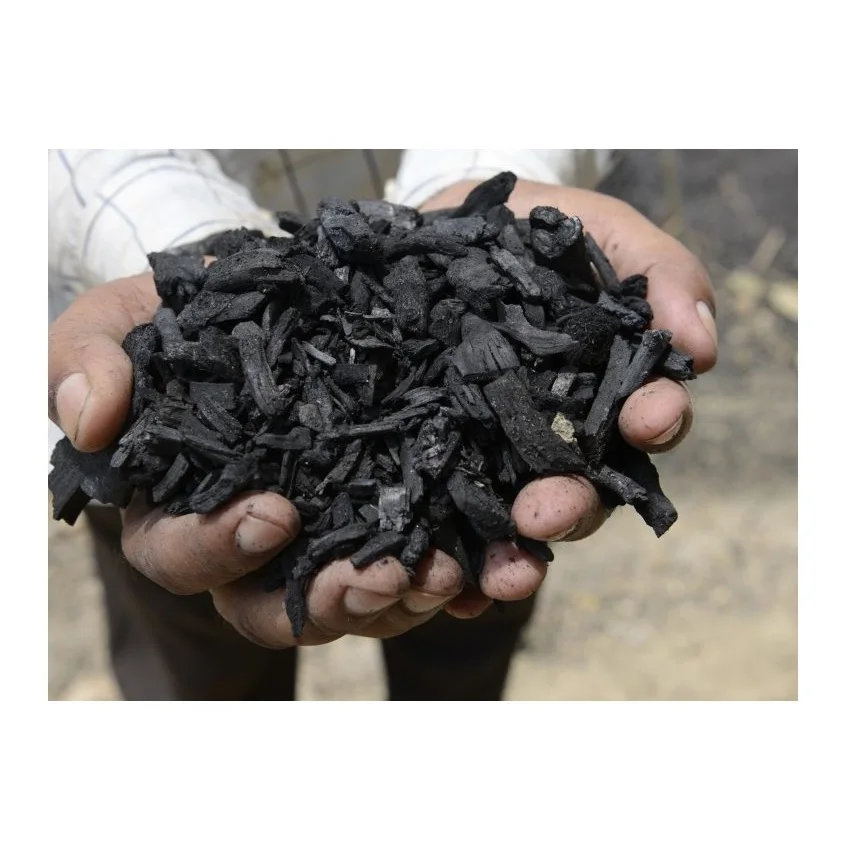 Charcoal Factory Supply High Quality Wooden And Coal Based Columnar Pellet Activated Carbon Charcoal