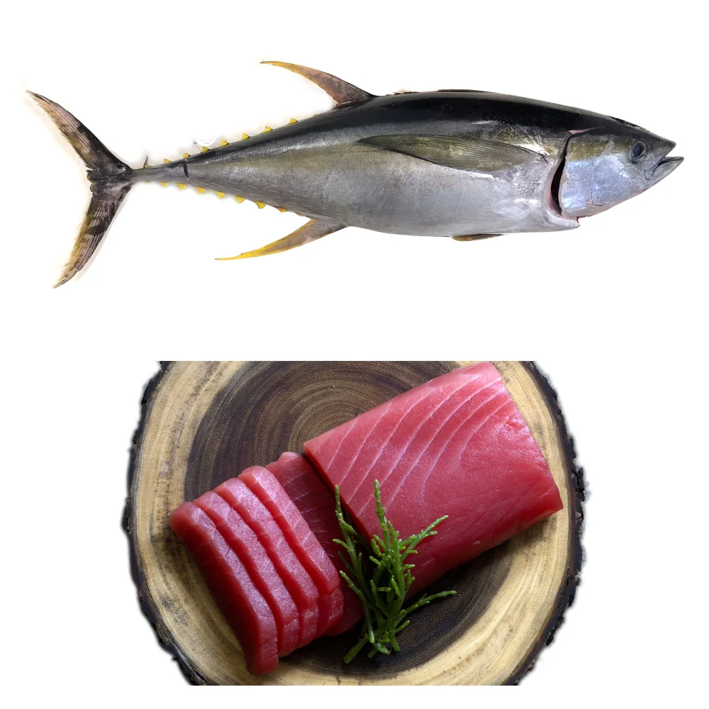 120g Weight Canned Tuna Chunk in Sunflower Oil Fish Body Style Shelf Origin Type Life Variety BRC Product ISO Salt Place Model
