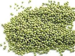 High Quality Cheap Green Mung Beans for Sale