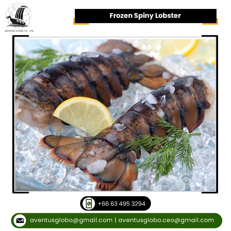 Thailand Origin Supplier of Highly Nutritious Seafood Whole Round Cooked Frozen Spiny Lobster at Reliable Market Price