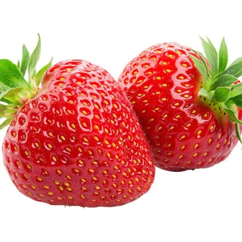 Wholesale Price Supplier of Fresh Fruit Berries Bulk Stock With Fast Shipping