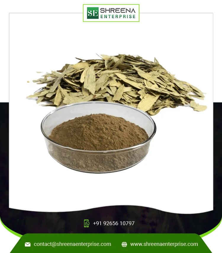 Senna Dry Extract Powder Wholesale Price Senna Dry Extract Indian Factory Price Senna Leaf Extract