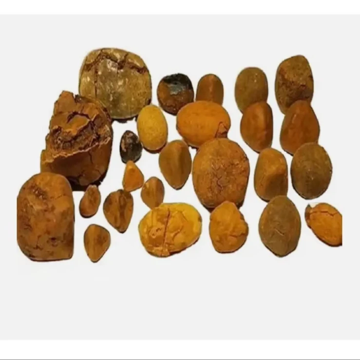 Quality Dried Ox Gallstones / Cattle gallstones 1000kg better price