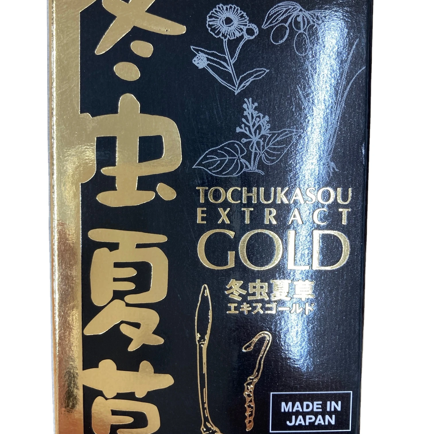 Healthcare supplement, Cordyceps sinensis, Energy Reinforcement