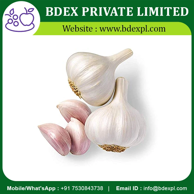 Best Selling Garlic Available At Wholesale Price From Indian Supplier