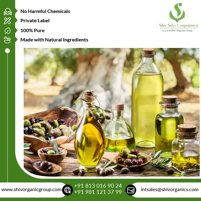 Trusted Supplier of Excellent Quality Widely Selling Natural Cold Pressed 100% Pure Olive Oil from India at Factory Price