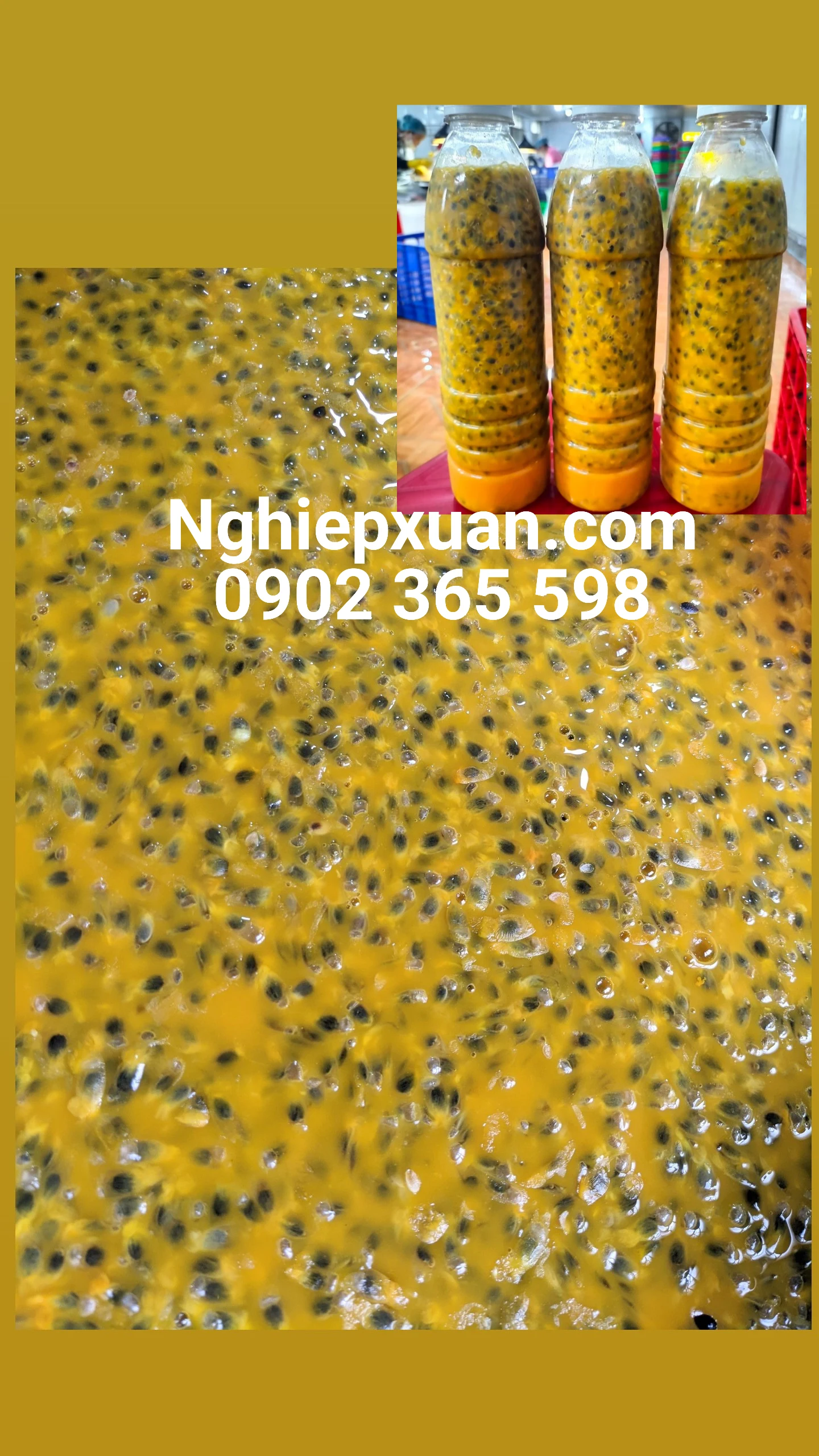 BEST PRICE - FROZEN PASSION FRUIT WITH HIGH QUALITY FROM VIETNAM