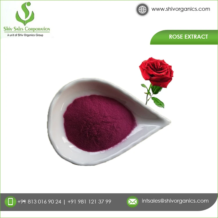 Widely Used Rose Leaf Powder Bulk Supply Solvent Extraction Type 100% Pure and Organic Rose Extract for Sale