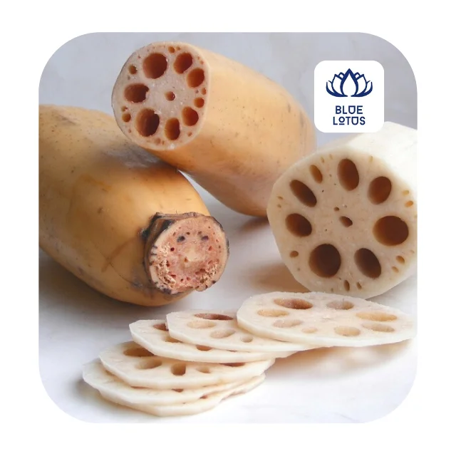 Дешевый консервированный корень лотоса из