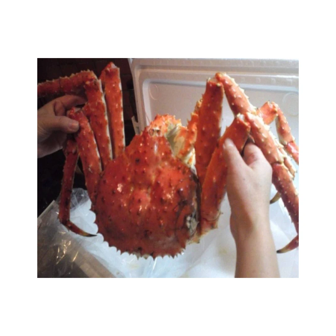 Crab ,Red King Crab ,Live and Frozen Red king crab